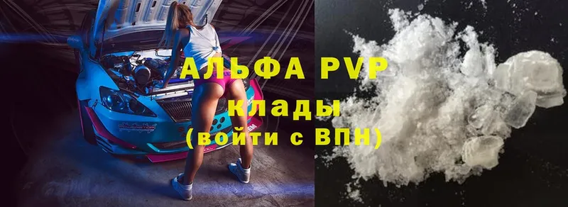 A PVP СК  Сыктывкар 